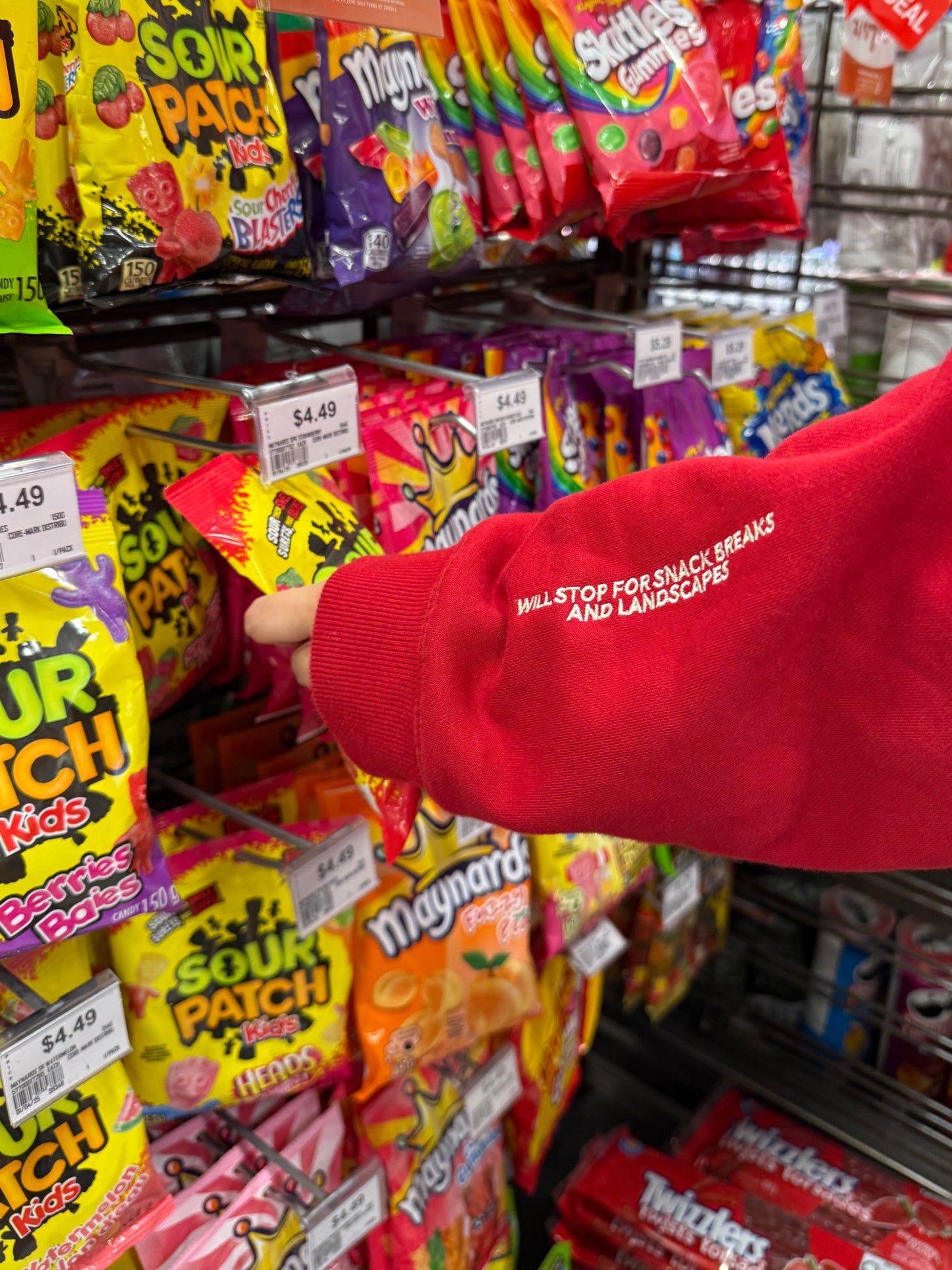 Take the Scenic Route Red Hoodie