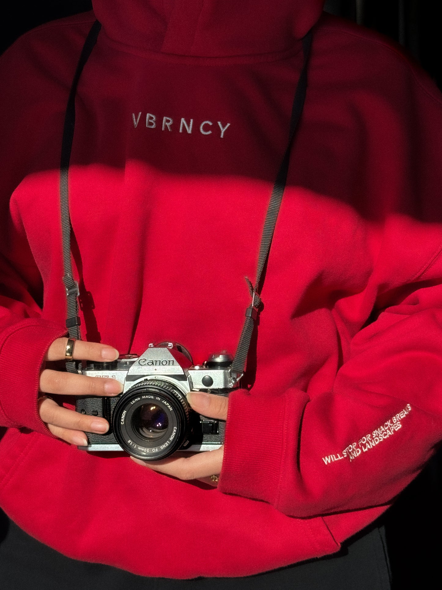 *Take the Scenic Route Red Hoodie