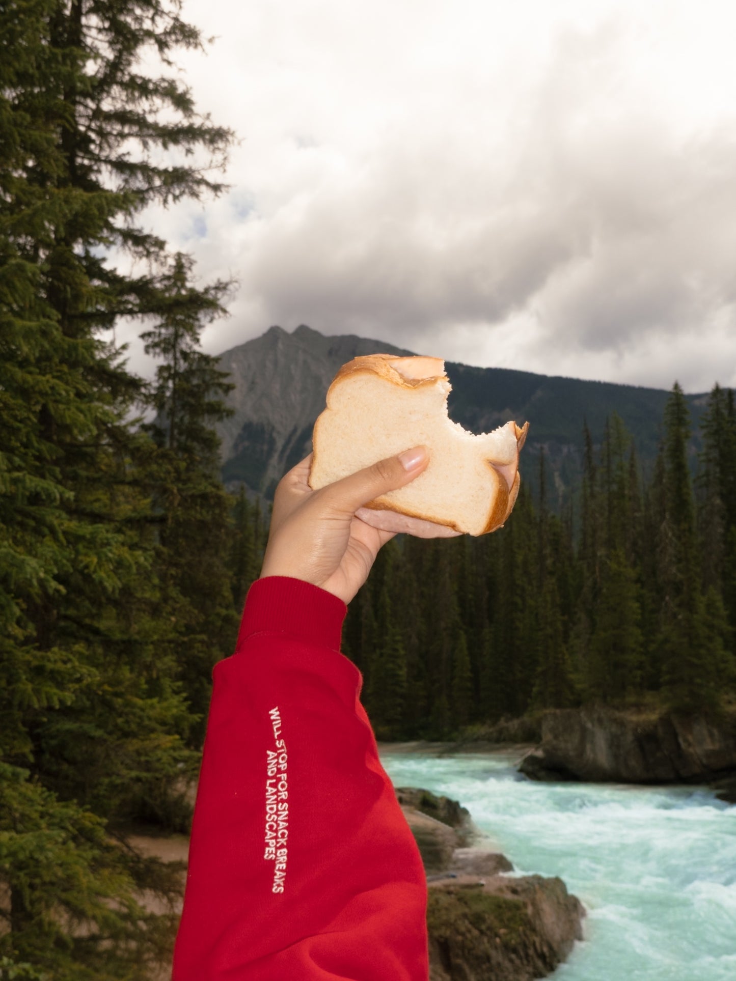 Take the Scenic Route Red Hoodie