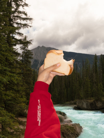 Take the Scenic Route Red Hoodie
