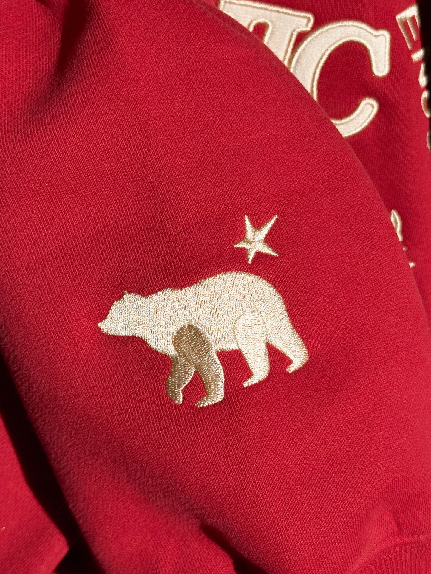 Take the Scenic Route Red Hoodie 2.0